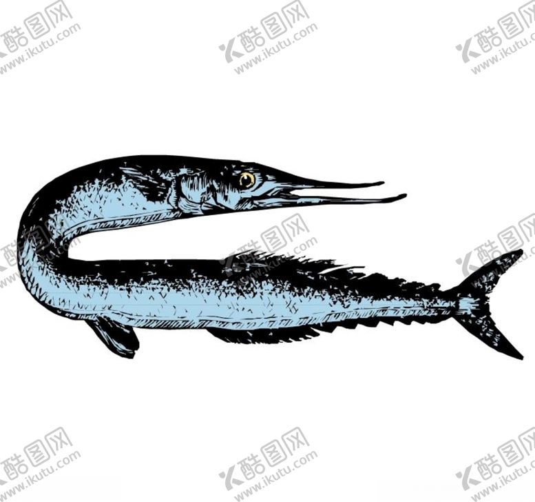 编号：83502709241137421710【酷图网】源文件下载-怪鱼