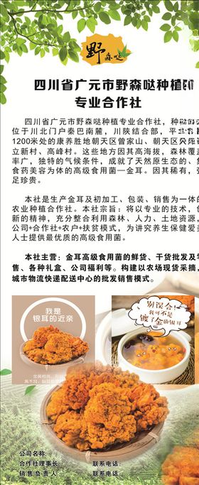 金耳展架