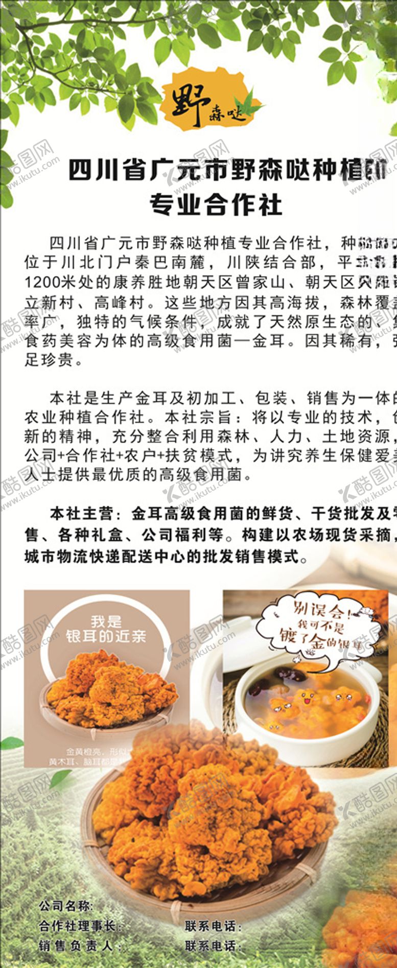 金耳展架公司介绍X绿色