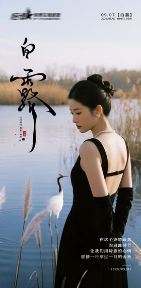 医美私密美业白露节气海报