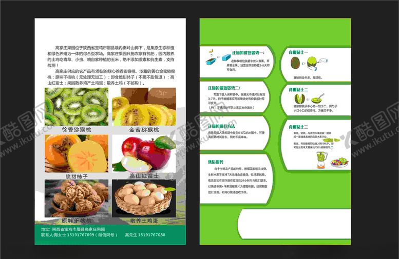 编号：40891205122303483123【酷图网】源文件下载-猕猴桃单页