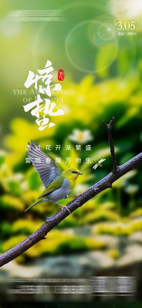惊蛰地产鸟二十四节气