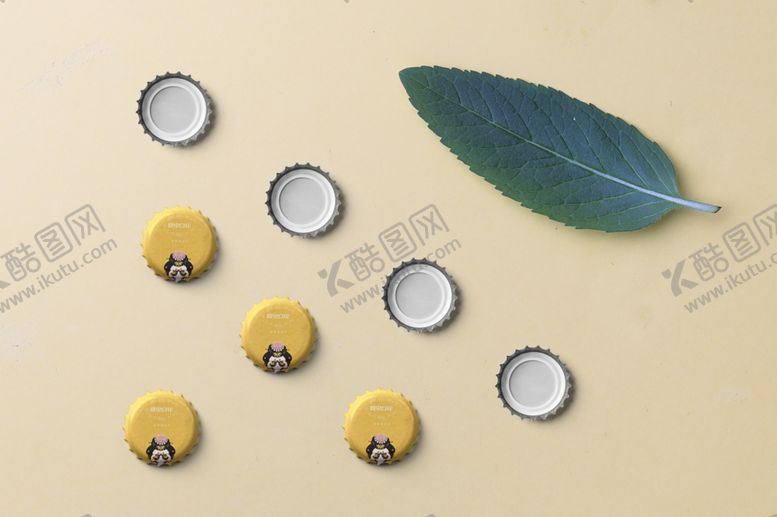 编号：58575410300421313831【酷图网】源文件下载-玻璃瓶样机