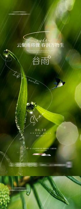 谷雨