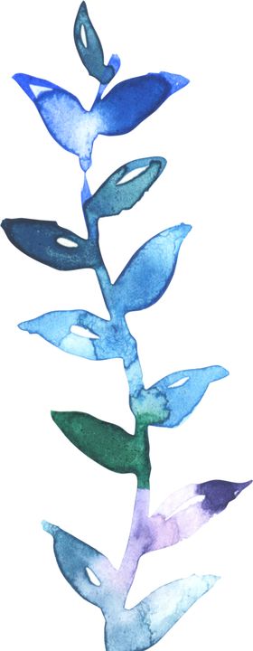 水彩手绘花卉花朵植物