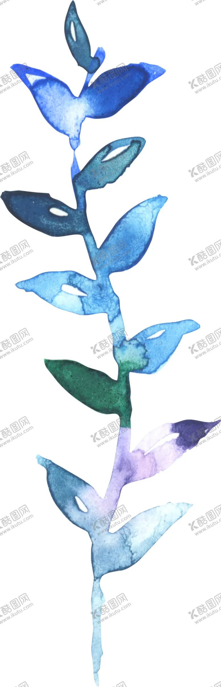 编号：60489306241624265970【酷图网】源文件下载-水彩手绘花卉花朵植物
