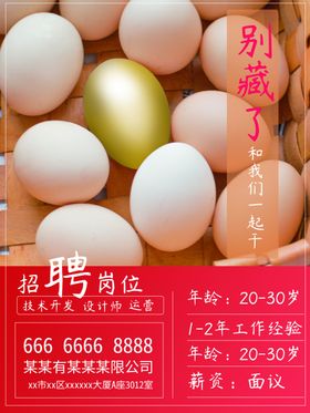 金蛋招聘海报