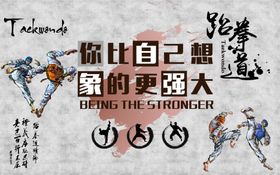 跆拳道工装背景墙