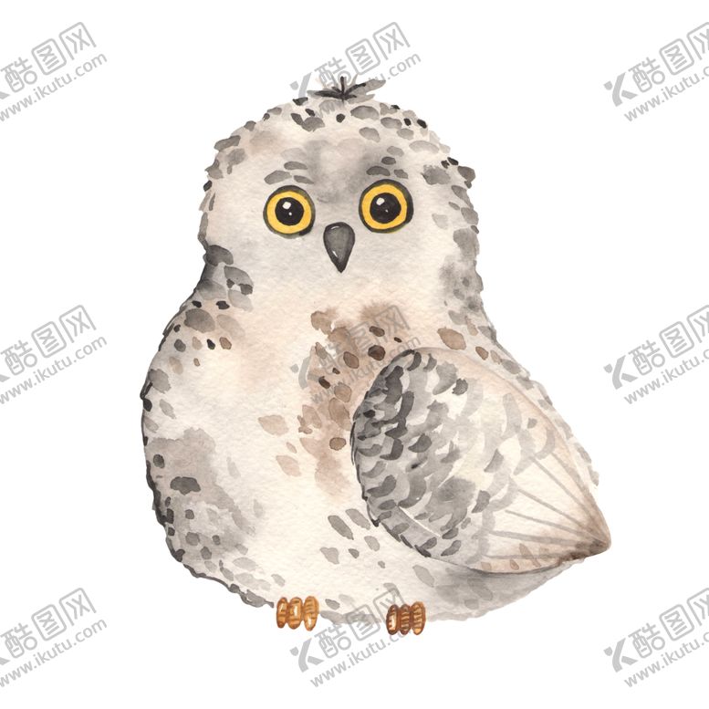 编号：16561509140155117892【酷图网】源文件下载-呆萌可爱猫头鹰