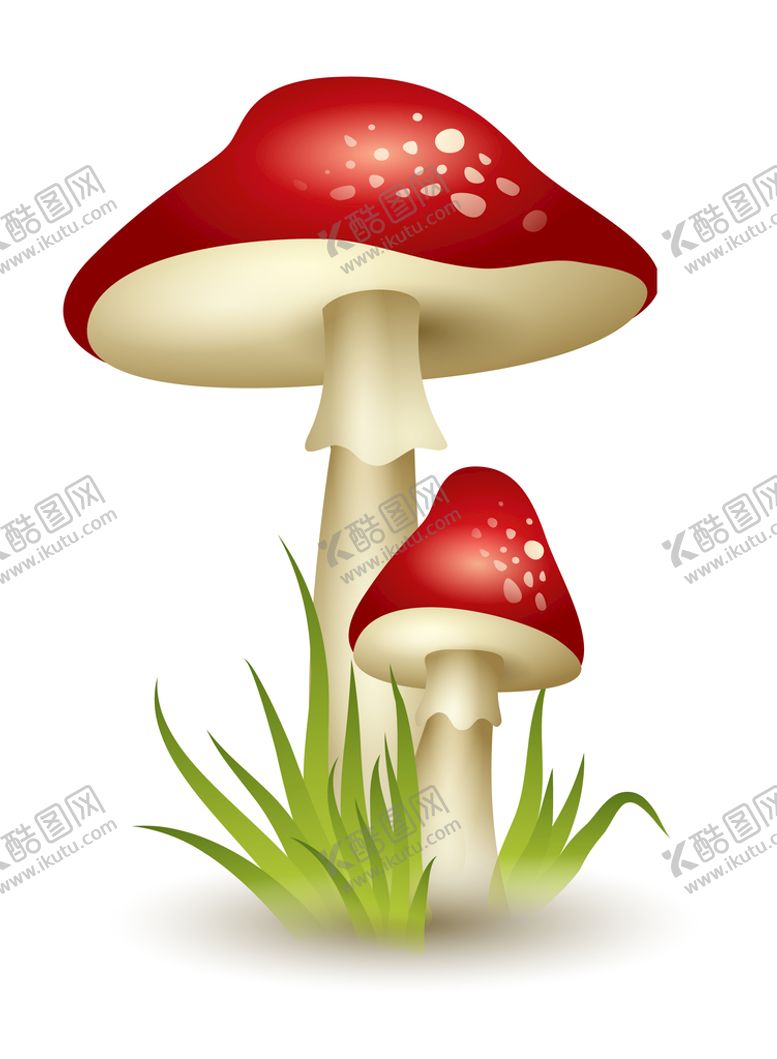 编号：35647009161117531587【酷图网】源文件下载-蘑菇
