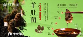 美味羊肚菌美食展示