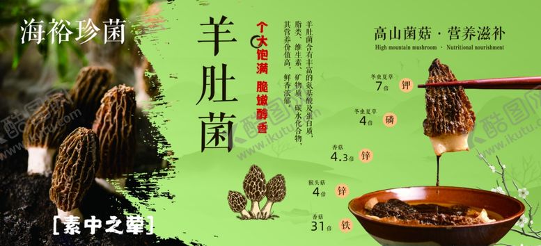 编号：13546710230411024593【酷图网】源文件下载-美味羊肚菌美食展示