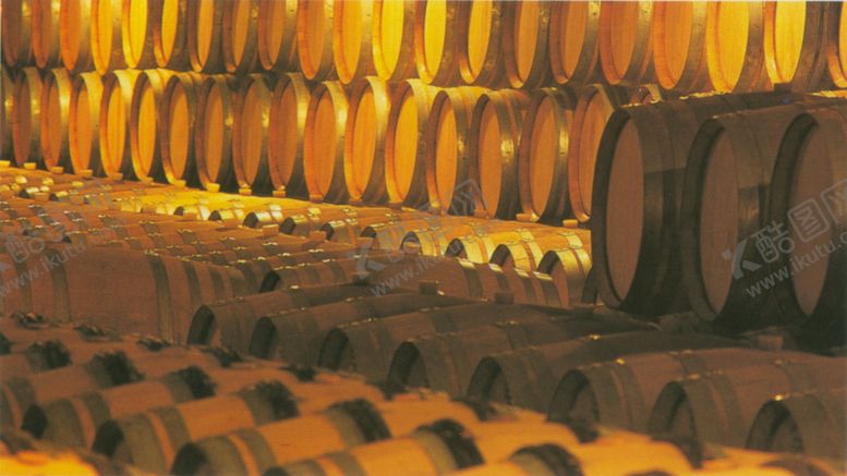 编号：35728810290259318644【酷图网】源文件下载-酒窖葡萄