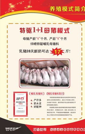 特驱养猪模式