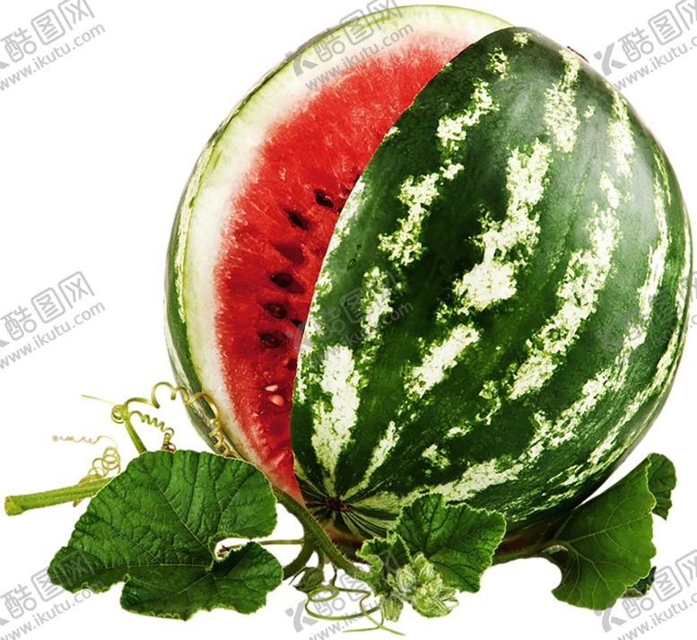 编号：51879709181543419842【酷图网】源文件下载-水果