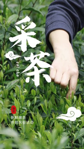 采茶茶叶茶园活动海报素材