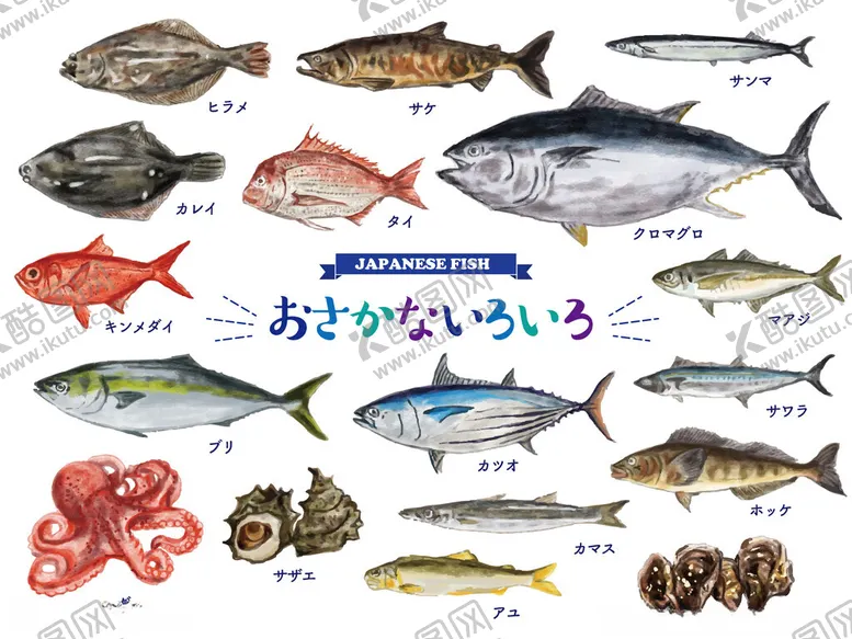 编号：86956611171848402011【酷图网】源文件下载-多样海产展示