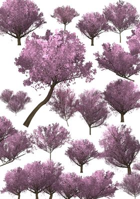 樱花树植物樱花景观素材