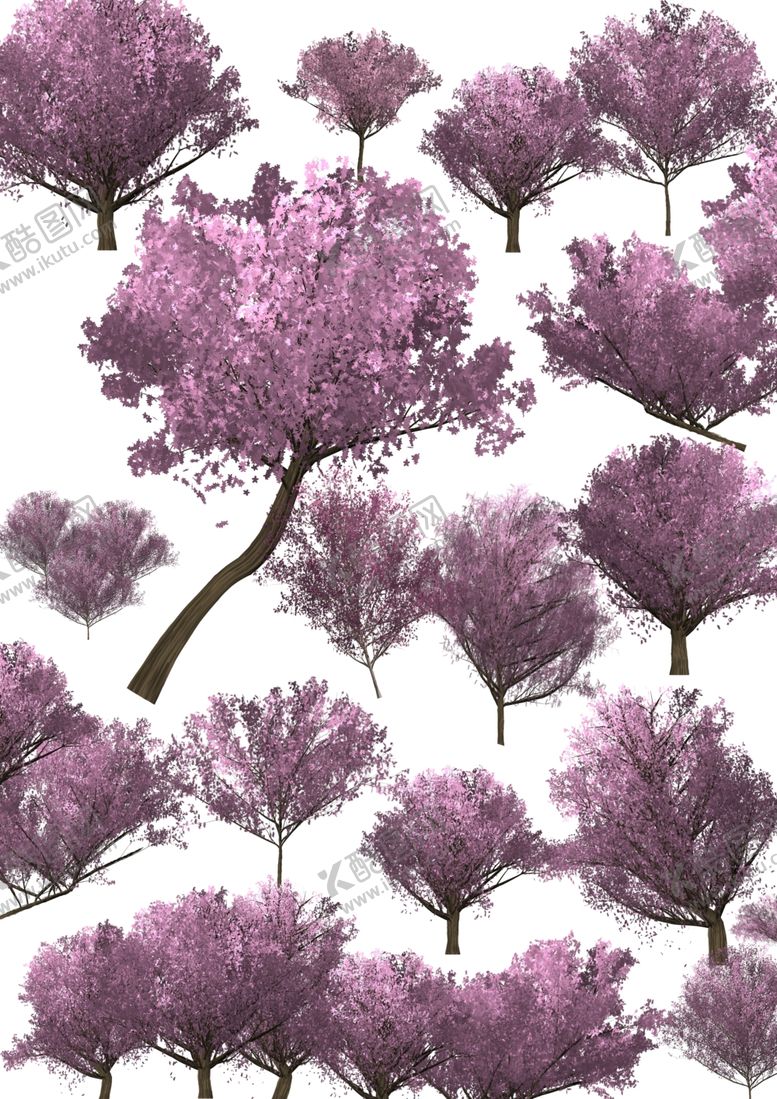 编号：44274209242017339873【酷图网】源文件下载-樱花树植物樱花景观素材