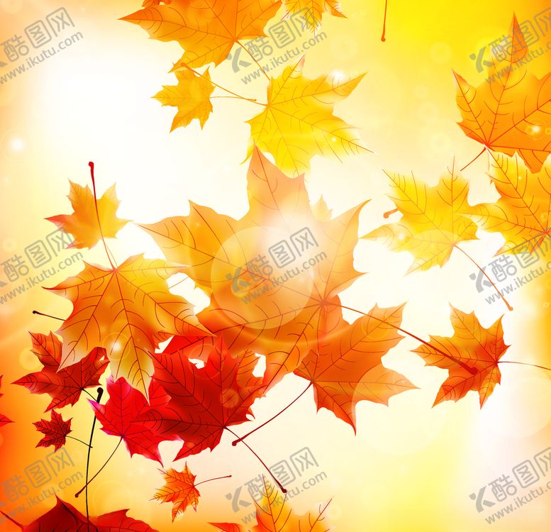 编号：19942409202317415399【酷图网】源文件下载-矢量动物矢量植物插画手绘