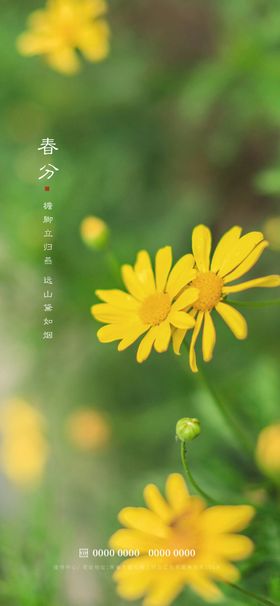 春分雨水立天谷雨