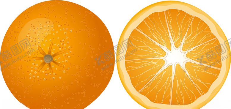 编号：66311810291323161038【酷图网】源文件下载-矢量柑橘