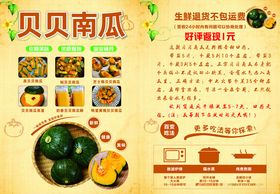 贝贝南瓜