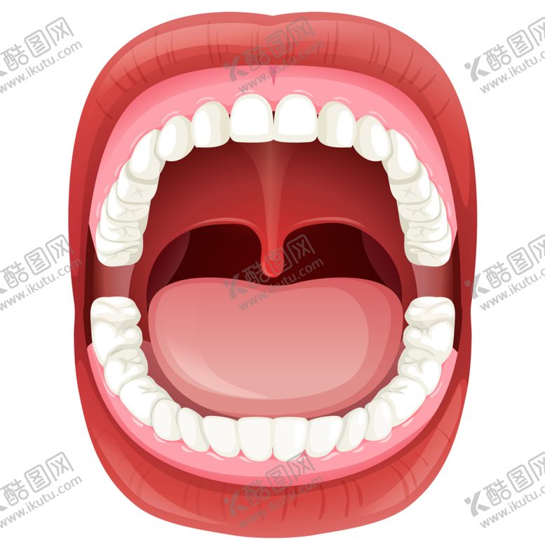 编号：22178209171807529542【酷图网】源文件下载-牙齿