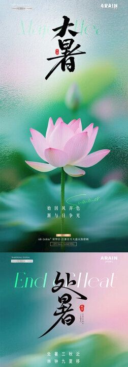 大暑处暑荷花风景海报