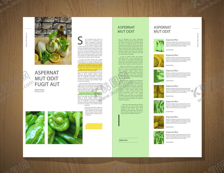 编号：54277010060150554437【酷图网】源文件下载-画册版式