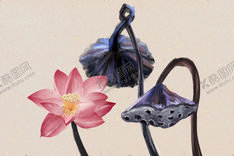 编号：64142002061529107047【酷图网】源文件下载-荷花工笔画