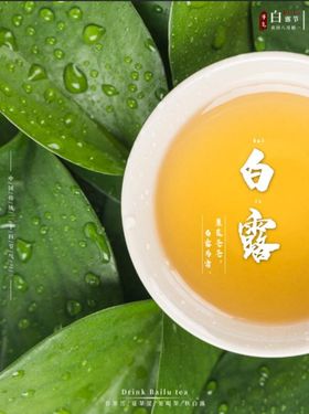 二十四节气白露海报传统中国