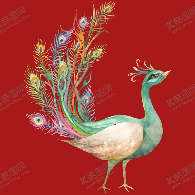编号：14433702171838018737【酷图网】源文件下载-手绘卡通孔雀