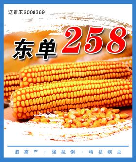 玉米种子258东单宣传