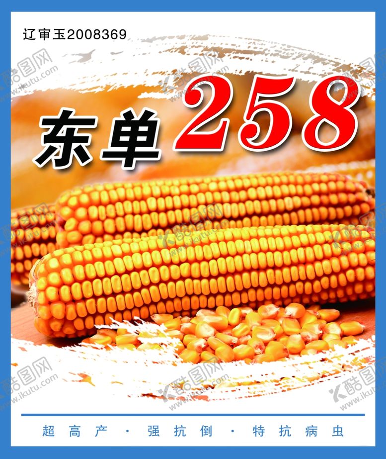 编号：95063507050353504083【酷图网】源文件下载-玉米种子
