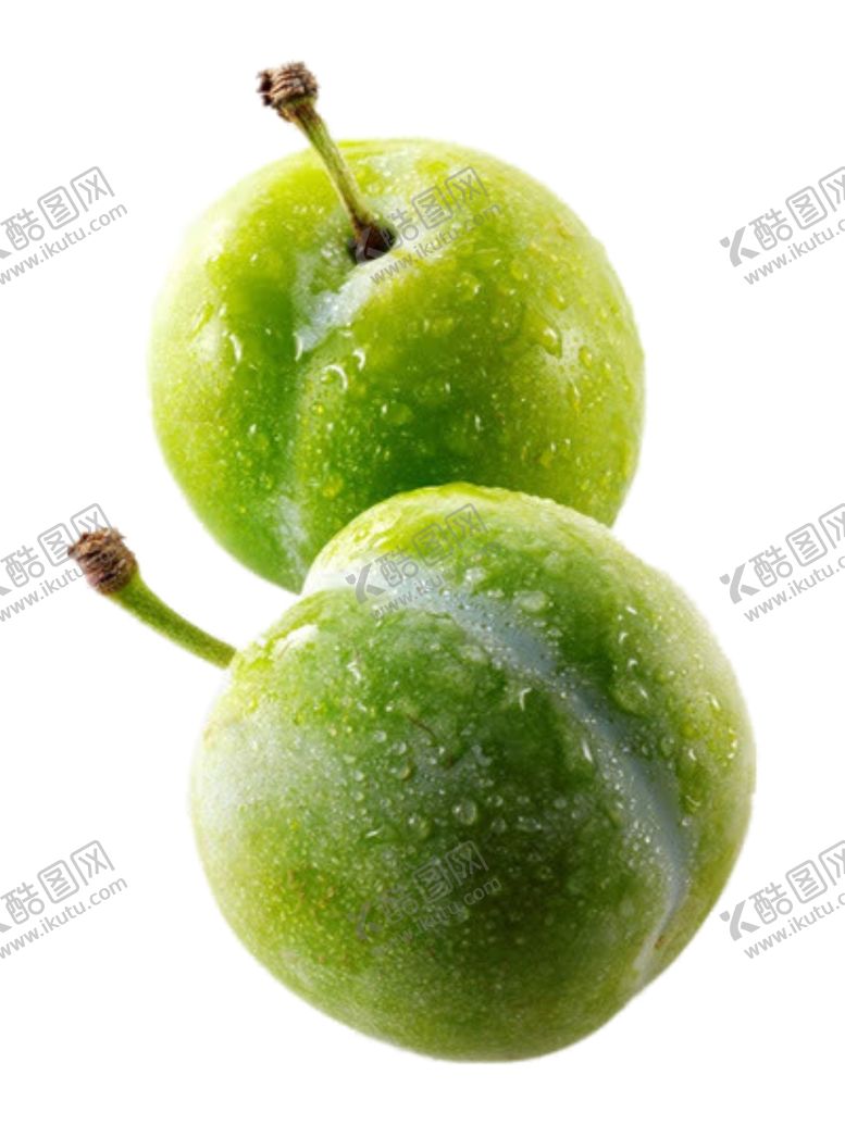 编号：68791004201642019203【酷图网】源文件下载-李子