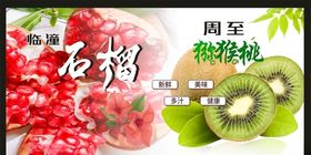 百香果、橘子、石榴、猕猴桃水果系列海