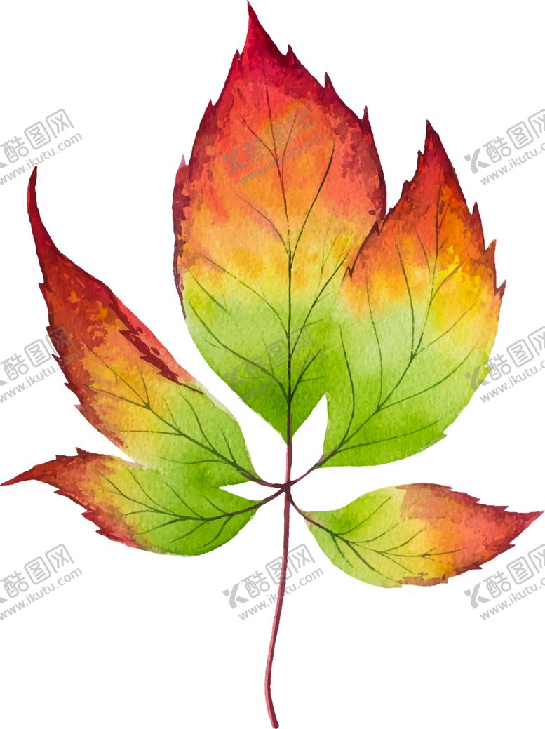 编号：55438410011143052119【酷图网】源文件下载-水彩植物