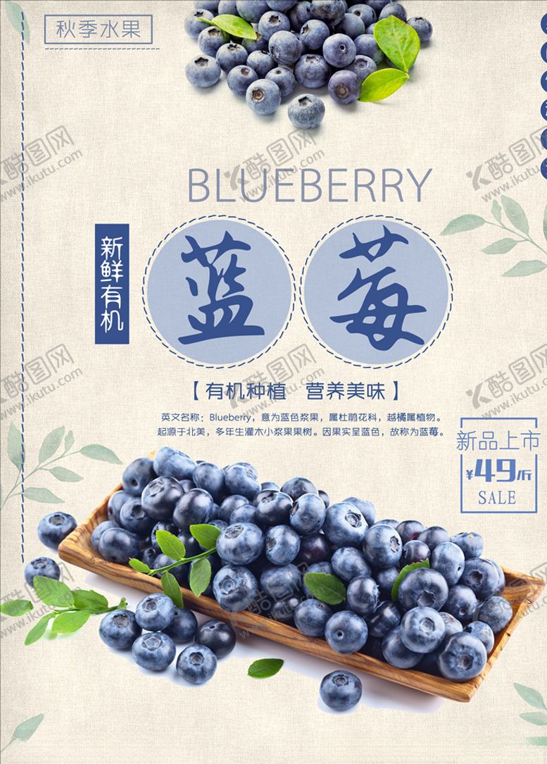 编号：46982805040542585756【酷图网】源文件下载-蓝莓图片
