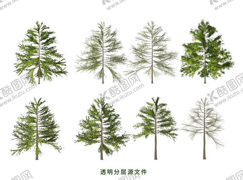 编号：95384109161308475417【酷图网】源文件下载-松树