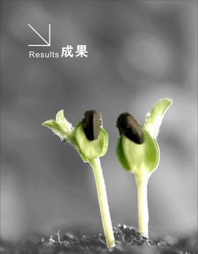 小学阶段性教学成果汇报