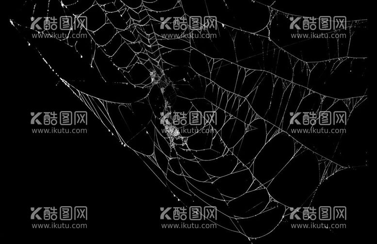 编号：60336611250424018850【酷图网】源文件下载-蜘蛛网