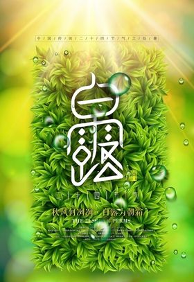 白露
