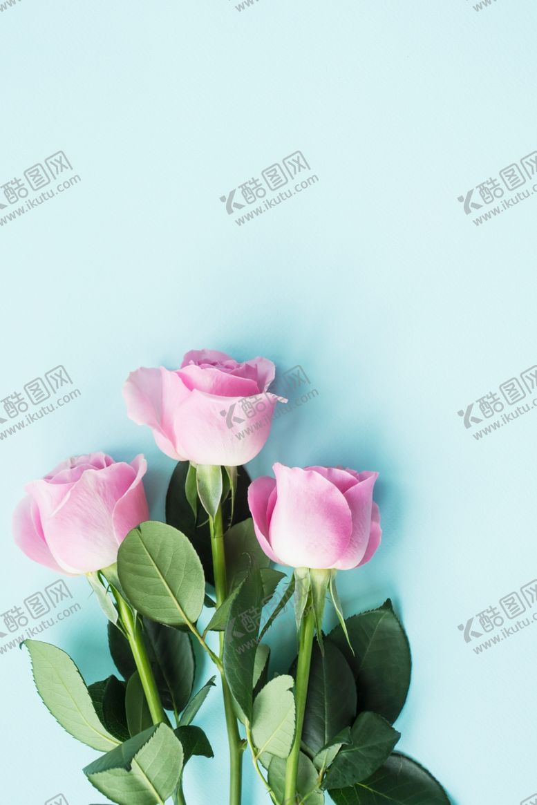 编号：83244707050943116879【酷图网】源文件下载-花背景