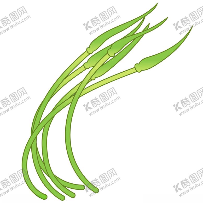 编号：39564703072115578413【酷图网】源文件下载-卡通蒜苔