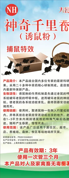 神奇世界