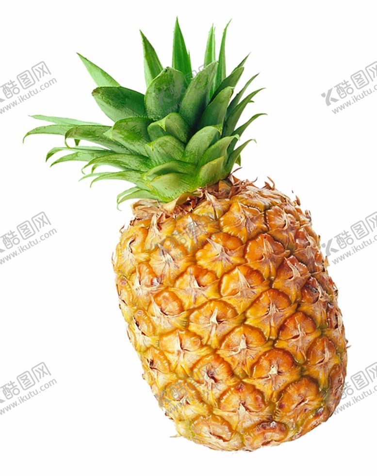 编号：88145902051754097980【酷图网】源文件下载-新鲜水果