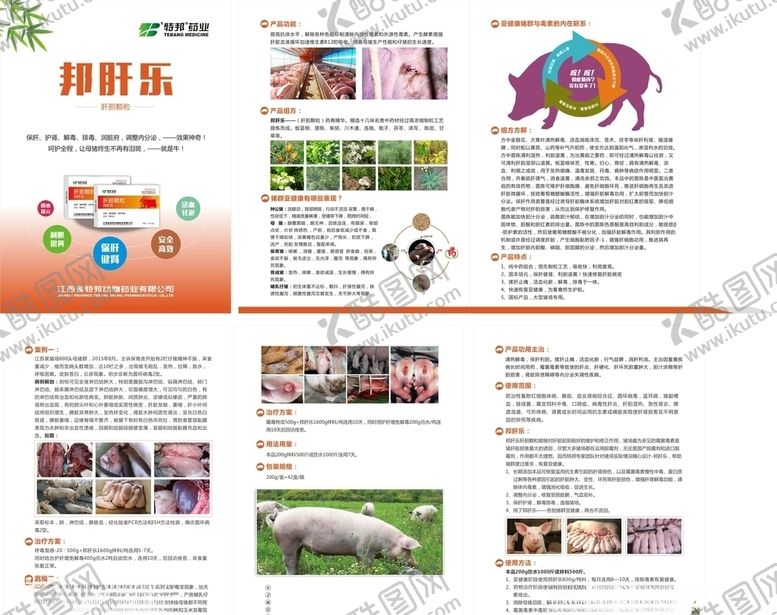 编号：61150206271209536531【酷图网】源文件下载-兽药猪用