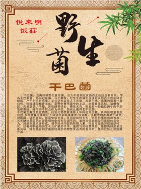 鲍汁扒野生菌