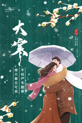 大寒冬景节日节气下雪